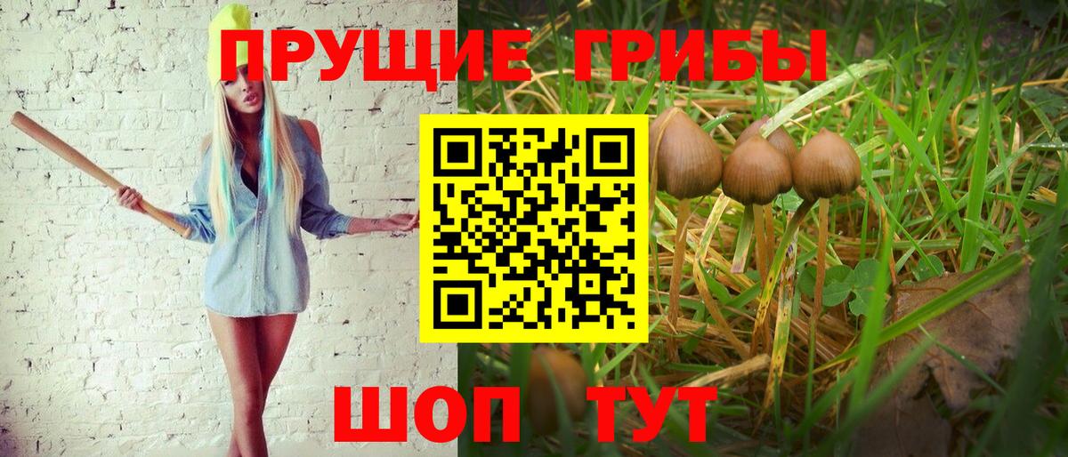 где купить наркоту  Псилоцибиновые грибы MAGIC MUSHROOMS  Вход с VPN  Коркино 